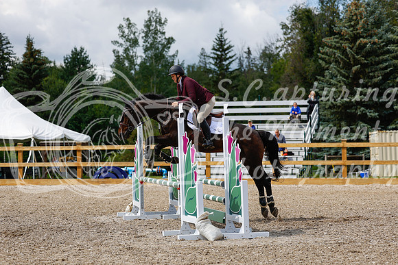 2025 - Haylee - Picco Horse Show - Sunday July 27th 03258