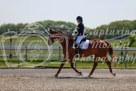 2025 - Dressage Festival - Saturday July 5th - 04791