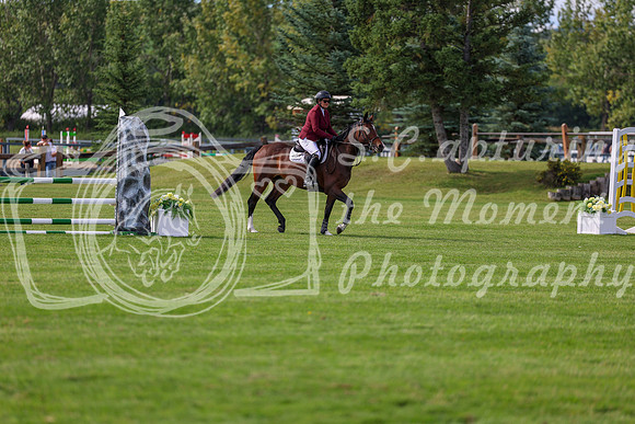 01379 - Shea - 2026 Fall Finale - Wednesday September 9th