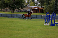 01647 - Shea - 2026 Fall Finale - Thursday September 10th