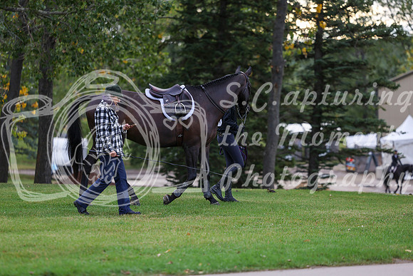 01526 - Shea - 2026 Fall Finale - Friday September 11th