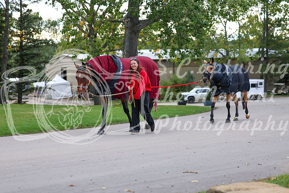 01550 - Shea - 2026 Fall Finale - Friday September 11th