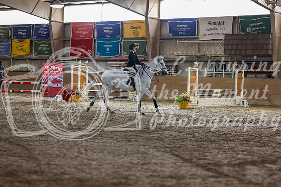 11667 - Shea - 2026 Fall Finale - Friday September 11th