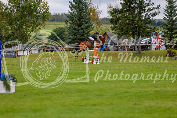 07340 - Shea - 2026 Fall Finale - Saturday September 12th