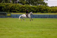 01163 - Shea - 2026 Fall Finale - Saturday September 12th