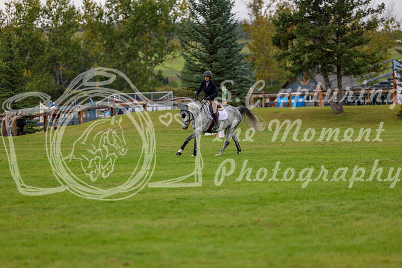 06634 - Shea - 2026 Fall Finale - Saturday September 12th