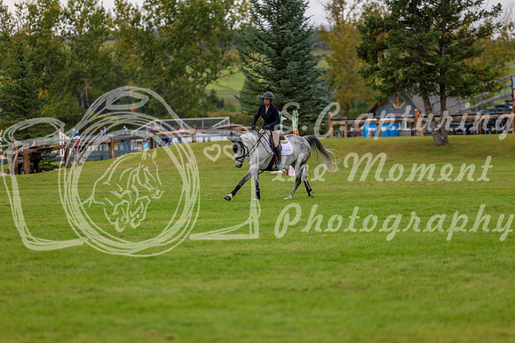 06635 - Shea - 2026 Fall Finale - Saturday September 12th