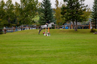 06632 - Shea - 2026 Fall Finale - Saturday September 12th