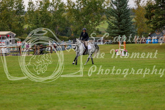 06636 - Shea - 2026 Fall Finale - Saturday September 12th
