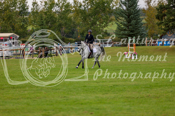 06637 - Shea - 2026 Fall Finale - Saturday September 12th