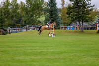 06157 - Shea - 2026 Fall Finale - Saturday September 12th