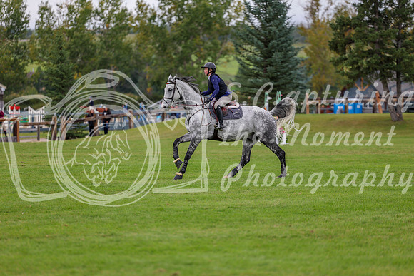 06453 - Shea - 2026 Fall Finale - Saturday September 12th