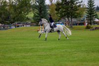 06520 - Shea - 2026 Fall Finale - Saturday September 12th