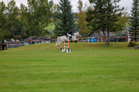 06530 - Shea - 2026 Fall Finale - Saturday September 12th