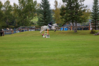 06531 - Shea - 2026 Fall Finale - Saturday September 12th