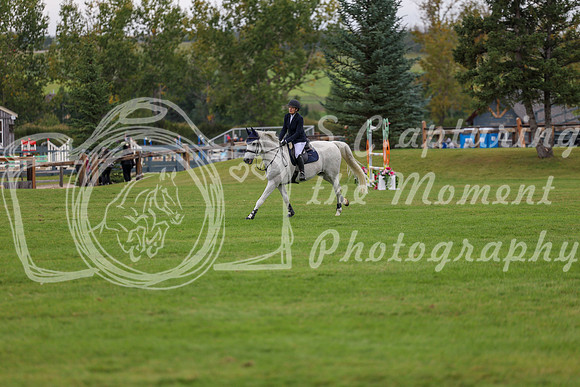 06533 - Shea - 2026 Fall Finale - Saturday September 12th
