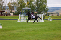 06381 - Shea - 2026 Fall Finale - Saturday September 12th