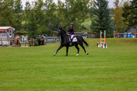 06399 - Shea - 2026 Fall Finale - Saturday September 12th