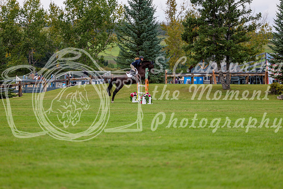 06745 - Shea - 2026 Fall Finale - Saturday September 12th