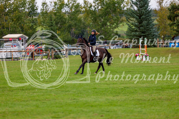 06751 - Shea - 2026 Fall Finale - Saturday September 12th