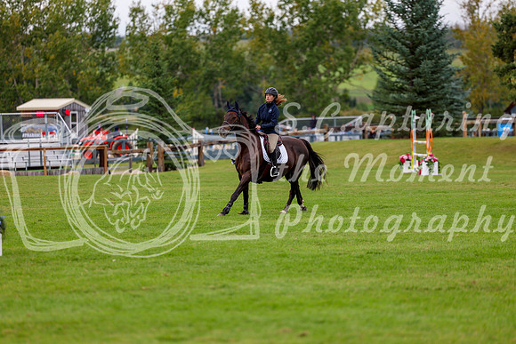 06752 - Shea - 2026 Fall Finale - Saturday September 12th