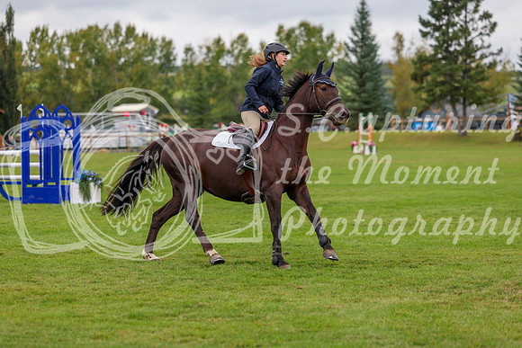 06765 - Shea - 2026 Fall Finale - Saturday September 12th