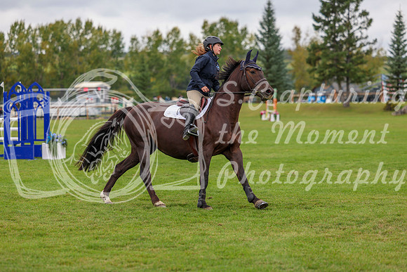 06766 - Shea - 2026 Fall Finale - Saturday September 12th