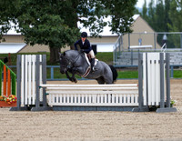 Pony
