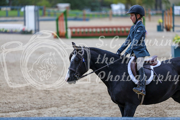 03673 - Elina - 2026 Fall Finale - Saturday September 12th