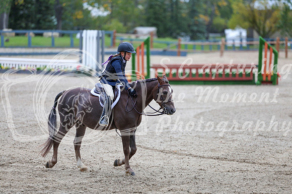 03141 - Elina - 2026 Fall Finale - Saturday September 12th