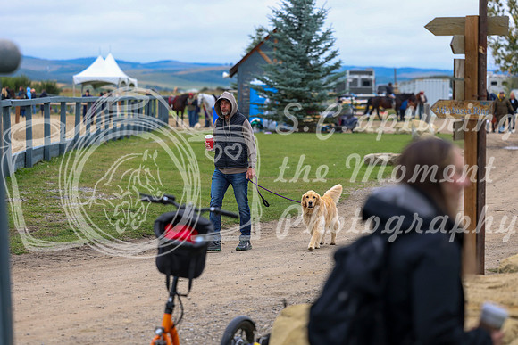 00038 - Shea - 2026 Fall Finale - Saturday September 12th