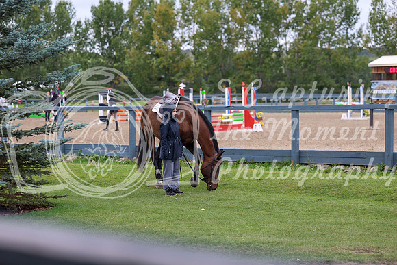 00037 - Shea - 2026 Fall Finale - Saturday September 12th