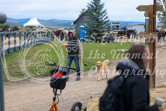 00039 - Shea - 2026 Fall Finale - Saturday September 12th