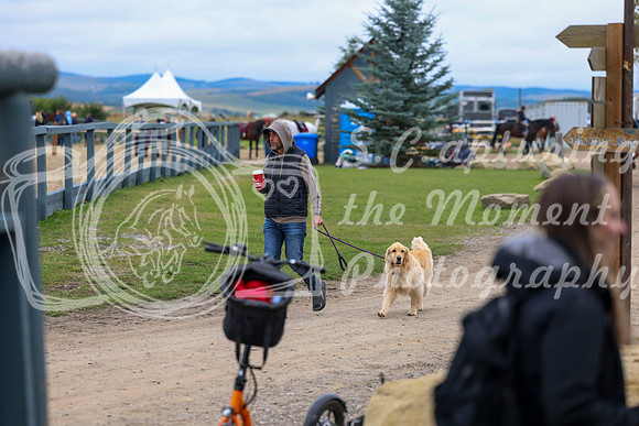 00040 - Shea - 2026 Fall Finale - Saturday September 12th