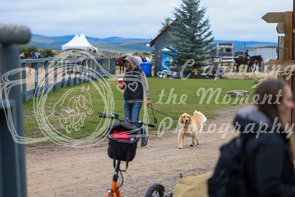 00042 - Shea - 2026 Fall Finale - Saturday September 12th