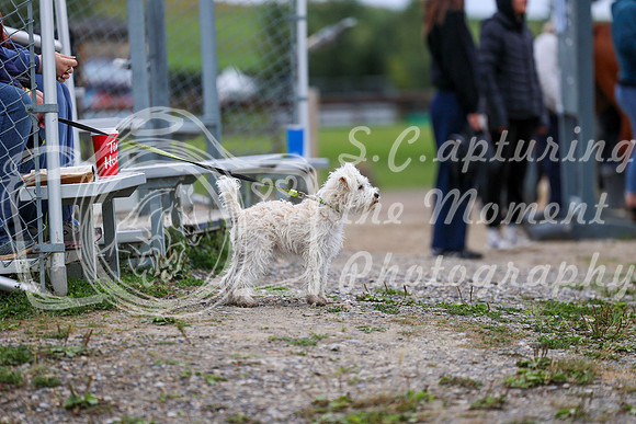 01670 - Mara - 2026 Fall Finale - Saturday September 12th