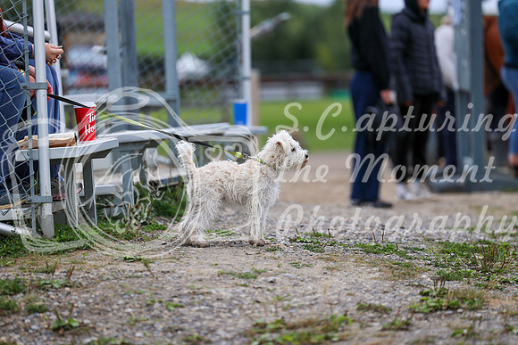 01671 - Mara - 2026 Fall Finale - Saturday September 12th