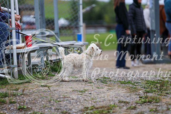 01672 - Mara - 2026 Fall Finale - Saturday September 12th