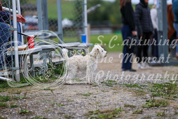 01673 - Mara - 2026 Fall Finale - Saturday September 12th