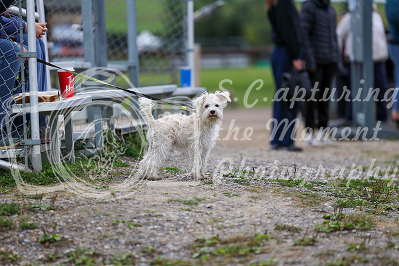 01674 - Mara - 2026 Fall Finale - Saturday September 12th