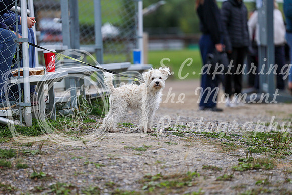 01675 - Mara - 2026 Fall Finale - Saturday September 12th