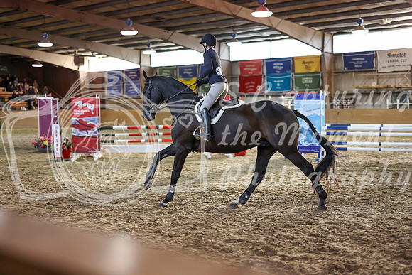12386 - Shea - 2026 Fall Finale - Saturday September 12th