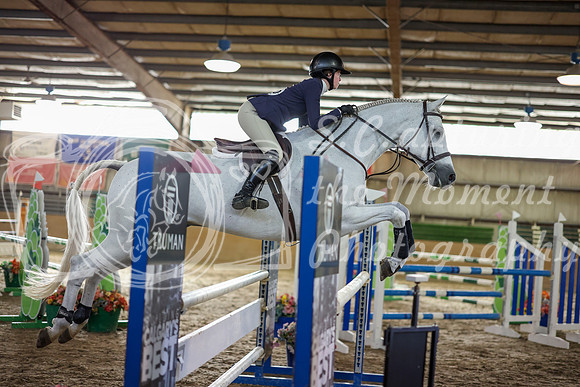 11550 - Shea - 2026 Fall Finale - Saturday September 12th