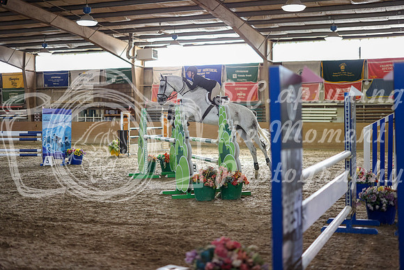 11500 - Shea - 2026 Fall Finale - Saturday September 12th