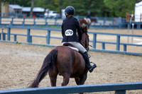 13687 - Shea - 2026 Fall Finale - Sunday September 13th