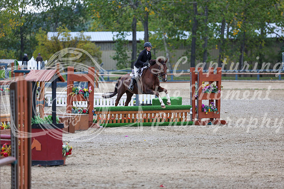 13691 - Shea - 2026 Fall Finale - Sunday September 13th
