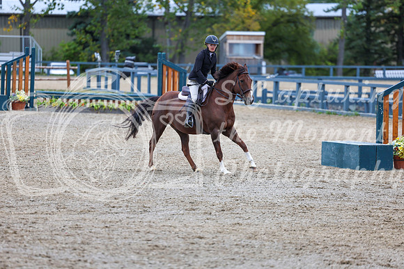 13694 - Shea - 2026 Fall Finale - Sunday September 13th