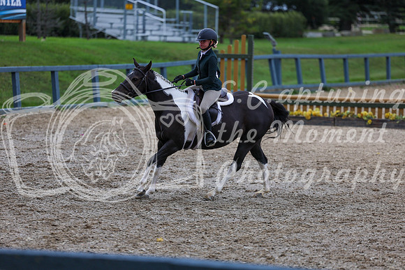 13528 - Shea - 2026 Fall Finale - Sunday September 13th