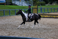 13529 - Shea - 2026 Fall Finale - Sunday September 13th
