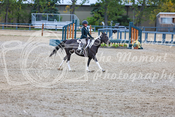 13543 - Shea - 2026 Fall Finale - Sunday September 13th